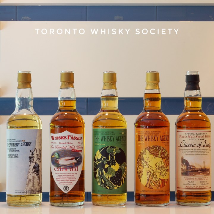 20905468_270371623447861_3891589263254355968_n (1)