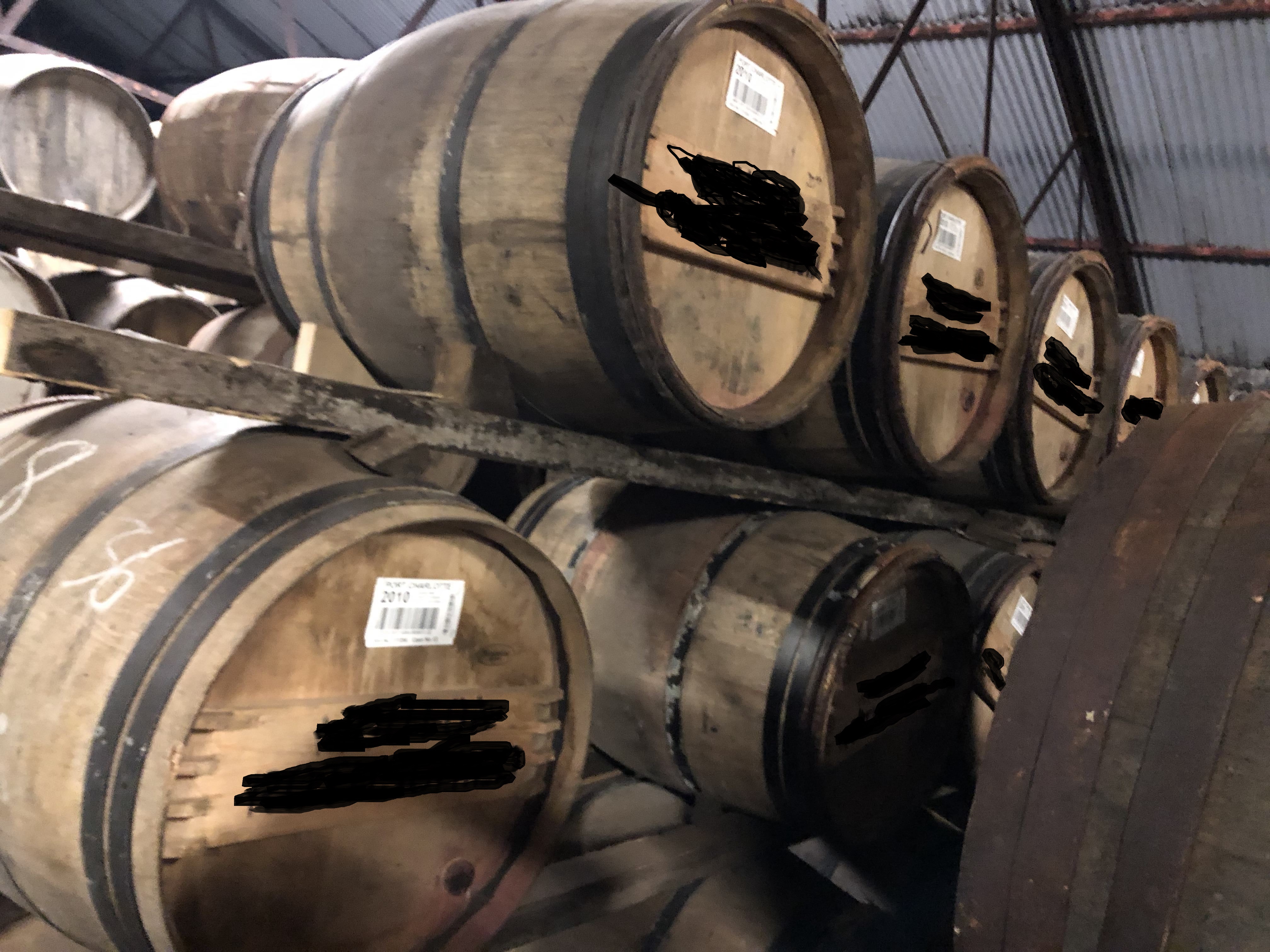 laddie rothschild pics 1